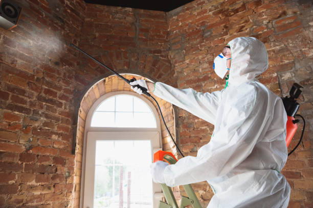 Why You Should Choose Our Mold Remediation Services in Oakley, UT