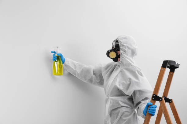 Mold Remediation for Vacation Homes